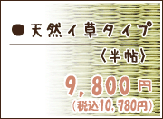 天然イ草タイプ